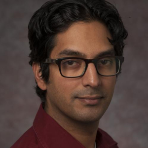 Anand D. Sarwate